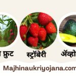 ड्रॅगन फ्रुट, स्ट्रॉबेरी आणि अवोकाडो फळशेतीसाठी शासकीय अनुदान – एकात्मिक फलोत्पादन विकास अभियान 2025